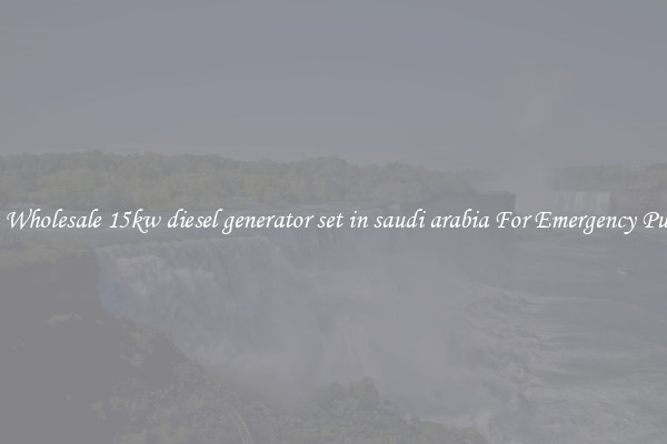 Get A Wholesale 15kw diesel generator set in saudi arabia For Emergency Purposes