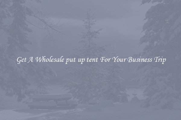 Get A Wholesale put up tent For Your Business Trip