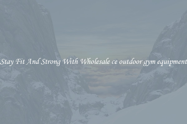 Stay Fit And Strong With Wholesale ce outdoor gym equipment