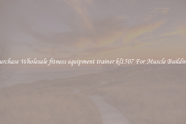 Purchase Wholesale fitness equipment trainer kl1507 For Muscle Building.