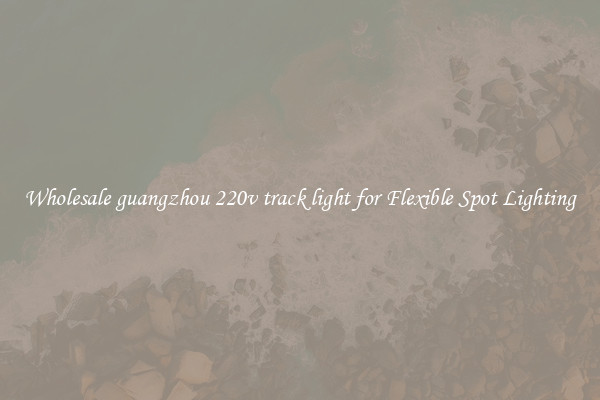 Wholesale guangzhou 220v track light for Flexible Spot Lighting