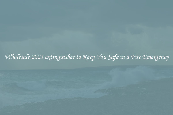 Wholesale 2023 extinguisher to Keep You Safe in a Fire Emergency