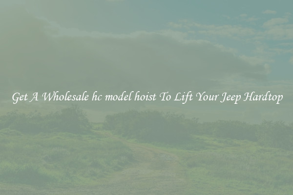 Get A Wholesale hc model hoist To Lift Your Jeep Hardtop