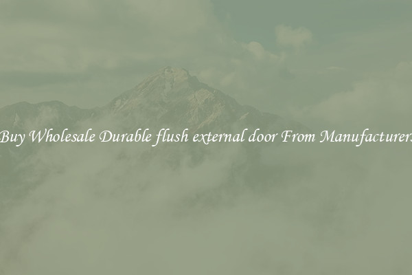 Buy Wholesale Durable flush external door From Manufacturers