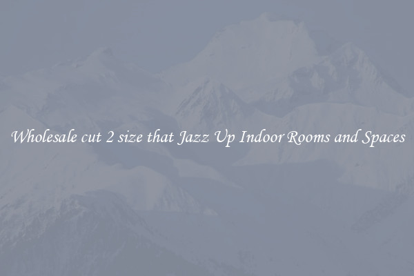 Wholesale cut 2 size that Jazz Up Indoor Rooms and Spaces