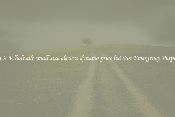 Get A Wholesale small size electric dynamo price list For Emergency Purposes