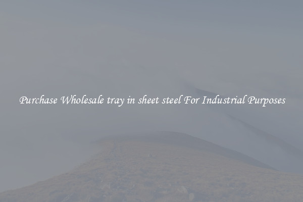 Purchase Wholesale tray in sheet steel For Industrial Purposes