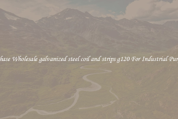 Purchase Wholesale galvanized steel coil and strips g120 For Industrial Purposes