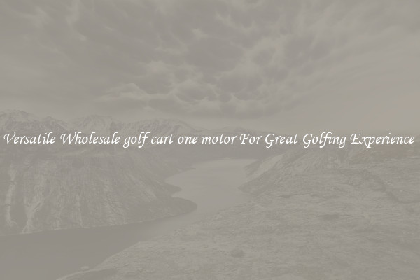 Versatile Wholesale golf cart one motor For Great Golfing Experience 