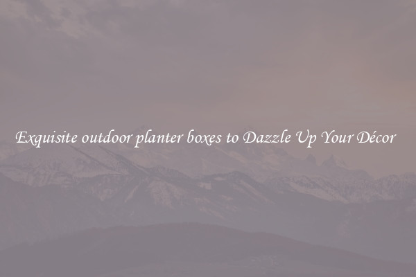Exquisite outdoor planter boxes to Dazzle Up Your Décor  