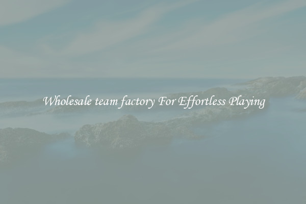Wholesale team factory For Effortless Playing