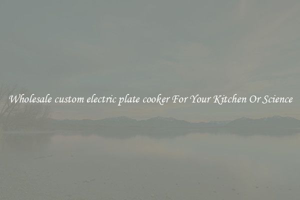 Wholesale custom electric plate cooker For Your Kitchen Or Science