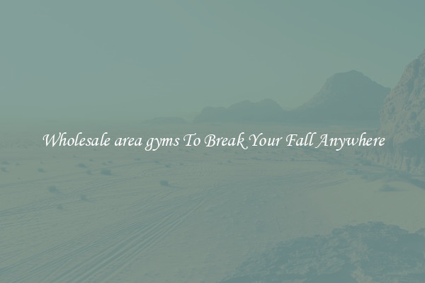 Wholesale area gyms To Break Your Fall Anywhere