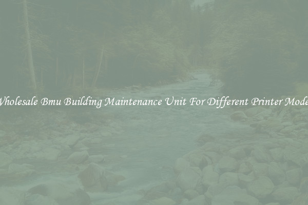 Wholesale Bmu Building Maintenance Unit For Different Printer Models