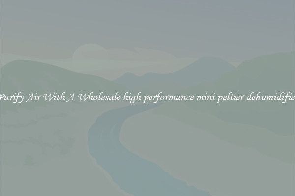 Purify Air With A Wholesale high performance mini peltier dehumidifier