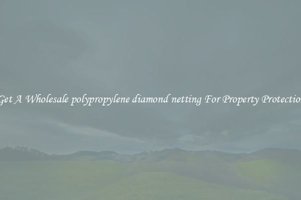 Get A Wholesale polypropylene diamond netting For Property Protection