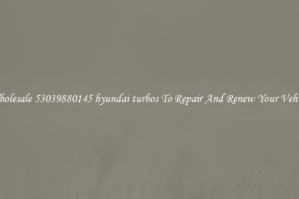 Wholesale 53039880145 hyundai turbos To Repair And Renew Your Vehicle