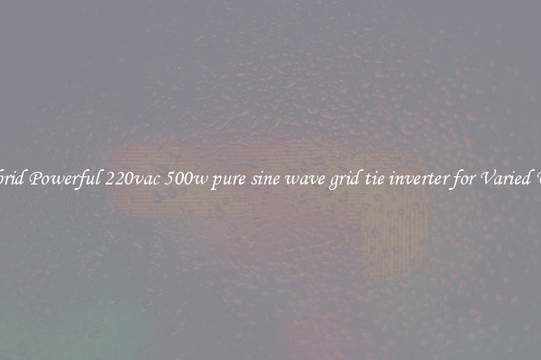 Hybrid Powerful 220vac 500w pure sine wave grid tie inverter for Varied Uses