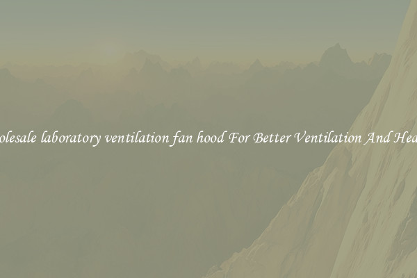 Wholesale laboratory ventilation fan hood For Better Ventilation And Heating