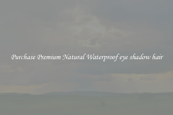 Purchase Premium Natural Waterproof eye shadow hair