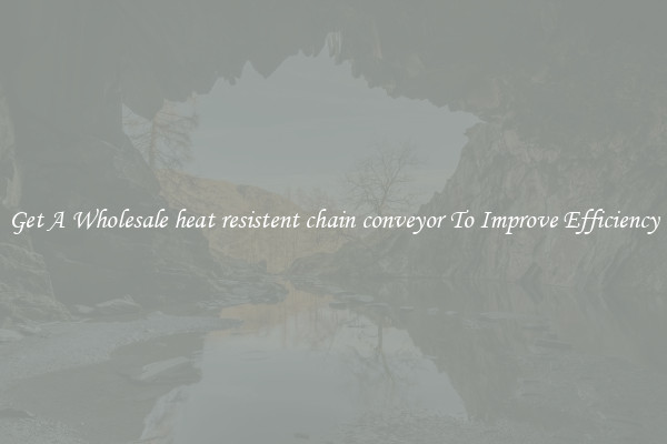 Get A Wholesale heat resistent chain conveyor To Improve Efficiency