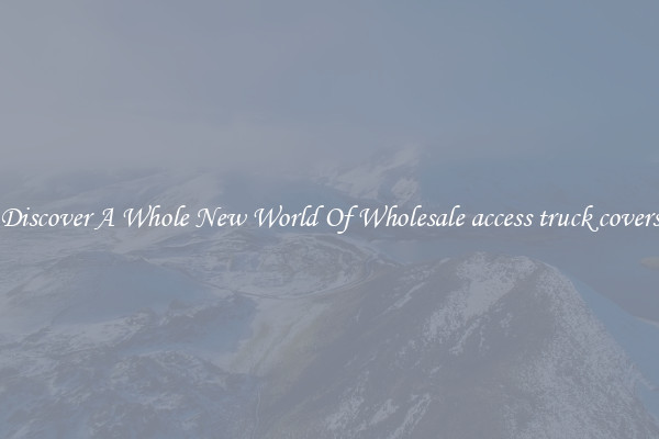 Discover A Whole New World Of Wholesale access truck covers